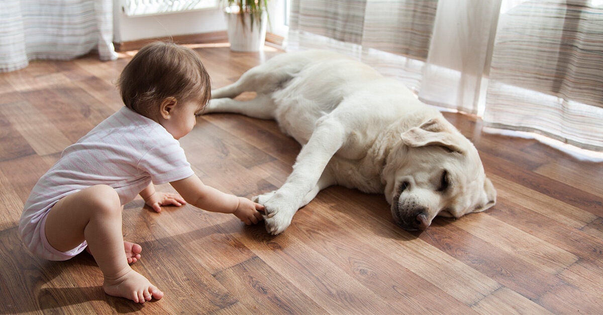 why is it good for a child to have a dog