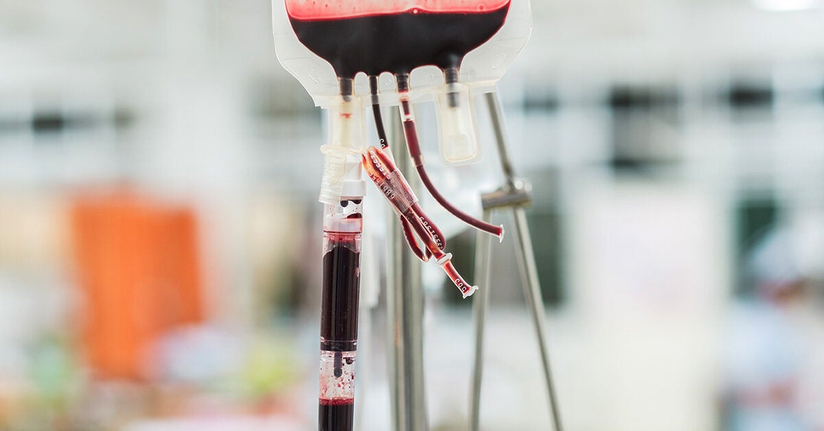 Обследование доноров крови. Гемотрансфузия. Искусственная кровь в медицине. Искусственную кровь изобрели.