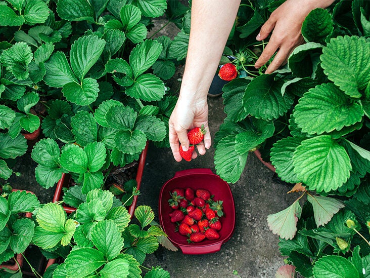 Hepatitis A Outbreak is Linked to Strawberries: How to Stay Safe