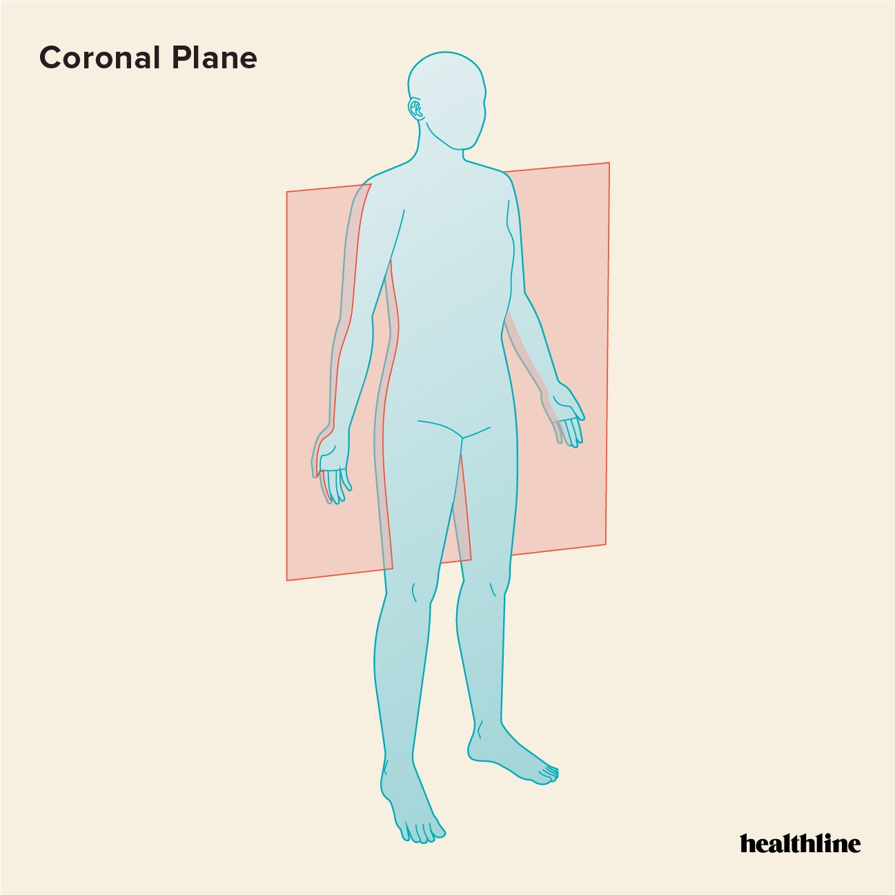 lateral plane