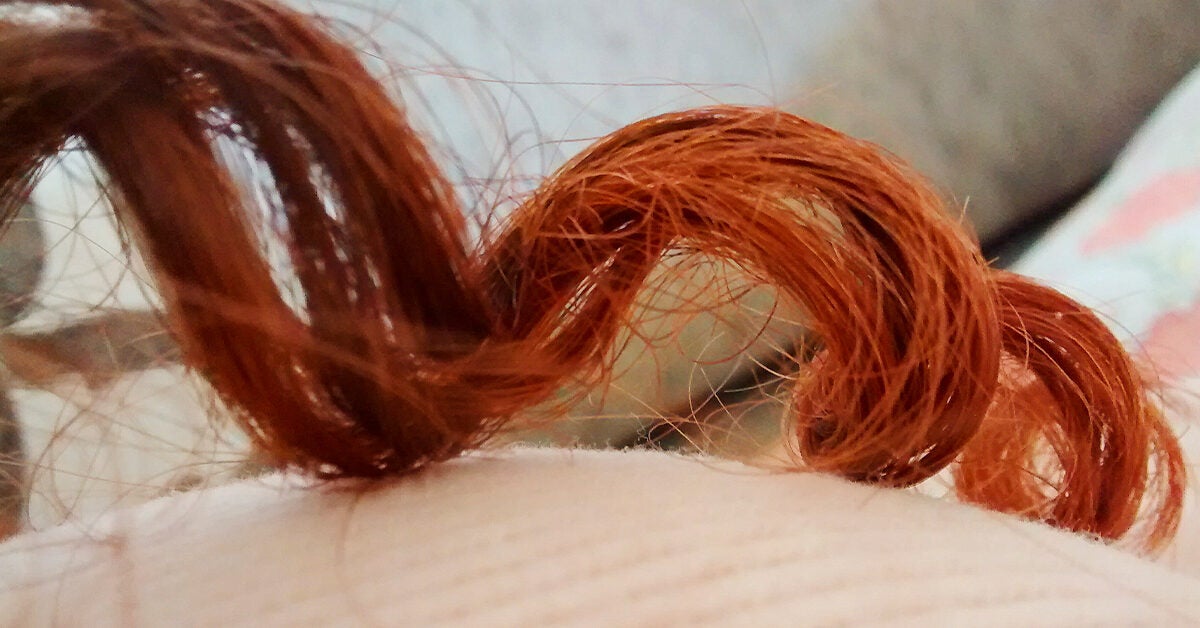 Bedbugs in Hair: Can They Live Anywhere on Your Body?