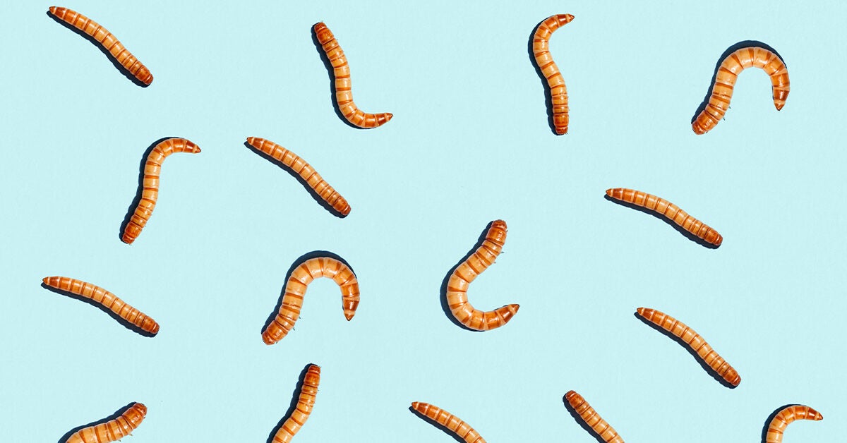 How Mealworms Can Be Cooked Into Healthy Foods