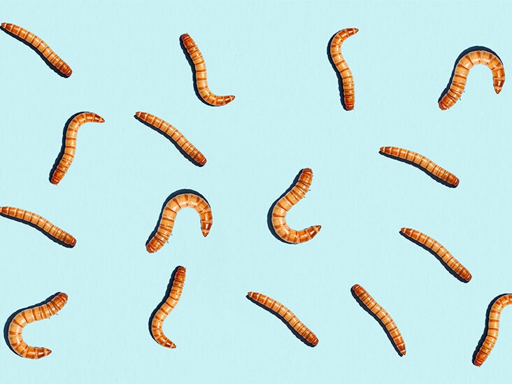 Pass the Mealworms? Researchers Say These Insects Can Be Cooked as a Healthy Food