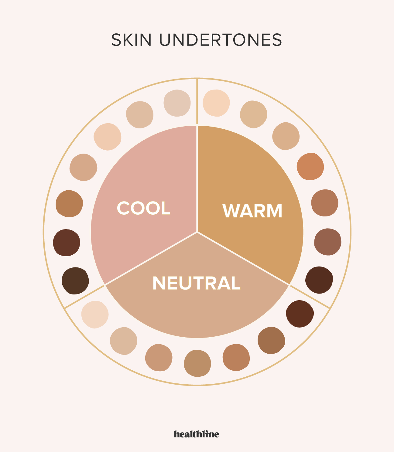 Skin Undertones Chart Warm, Cool, Neutral, Olive, and More