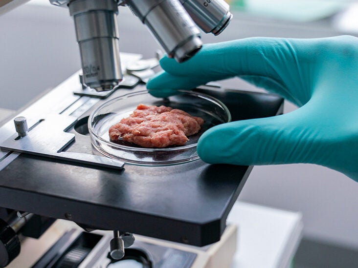Lab-Grown Meat One Step Closer to the Grocery Store After FDA OK