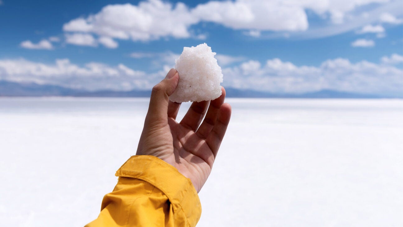 Person holding rock salt. 