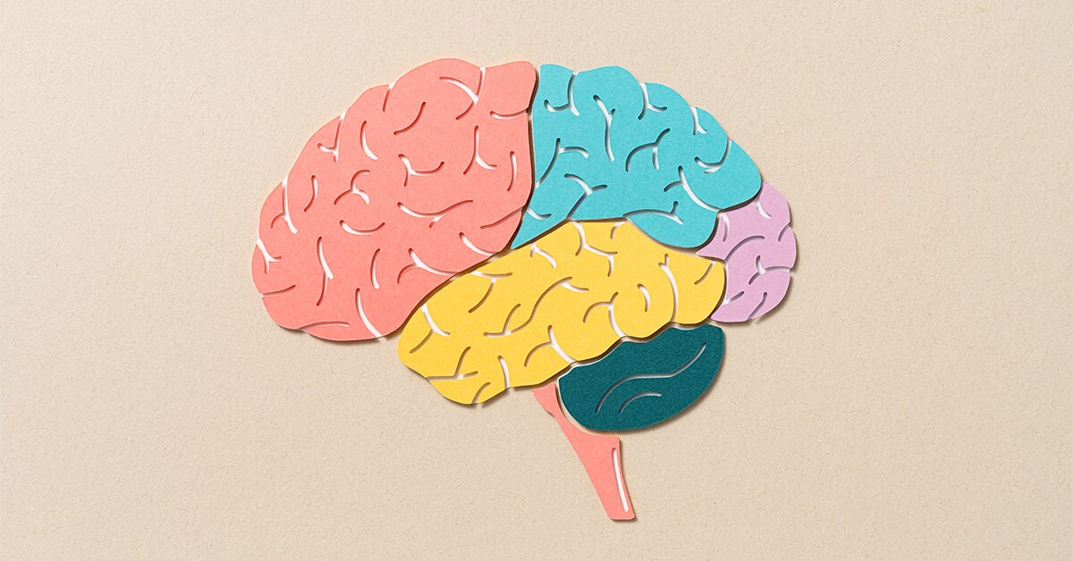 Areas of the Brain Affected by Parkinson's Disease