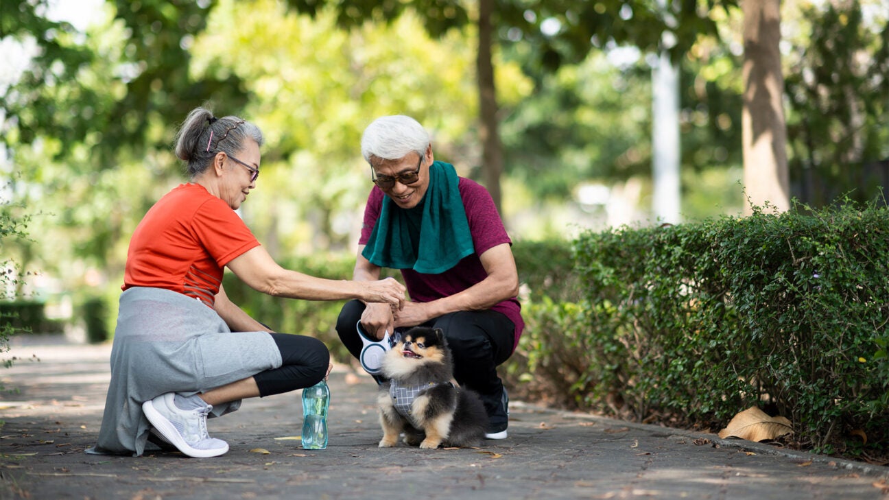 Walking exercise 20 online minutes