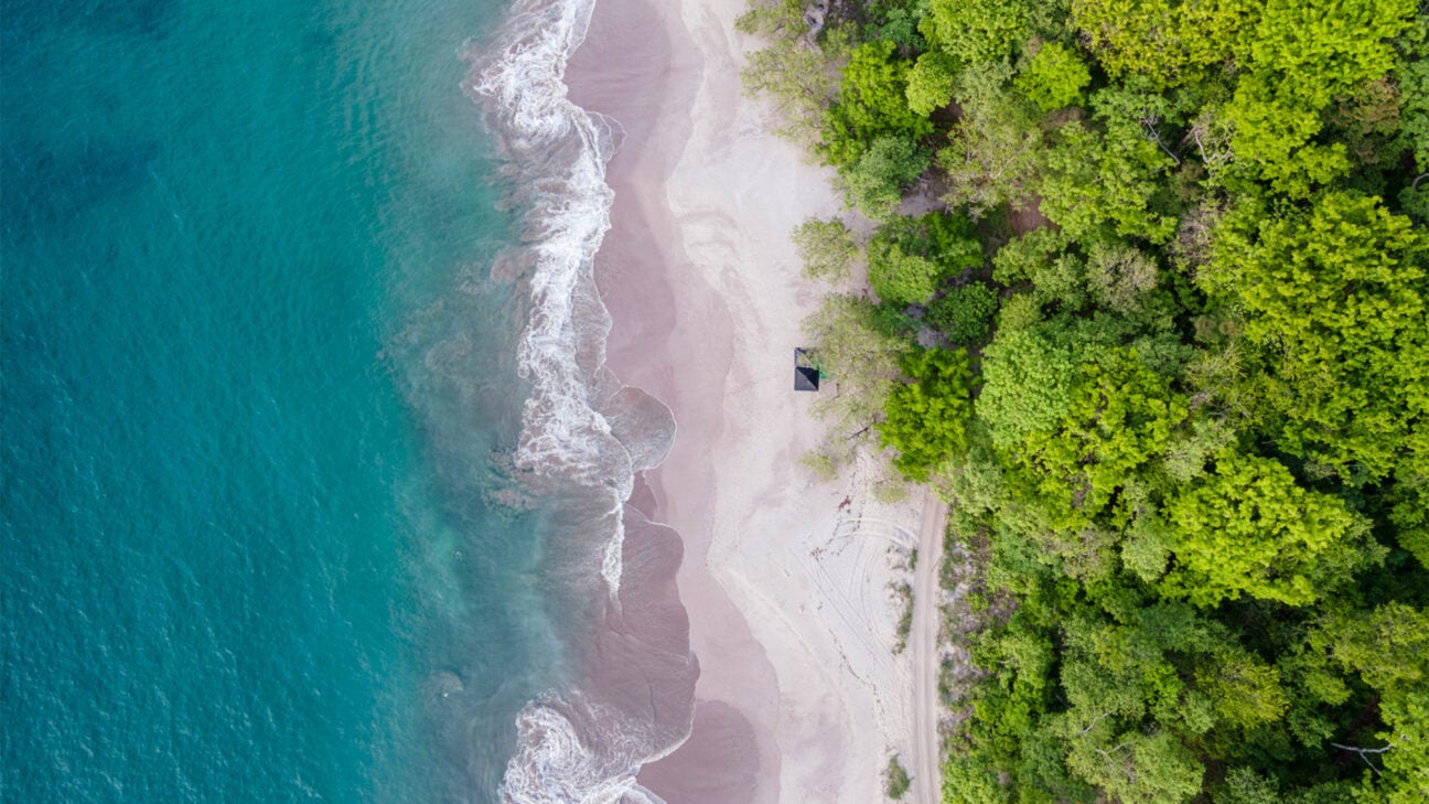 A birds eye view of a beach near a jungle.