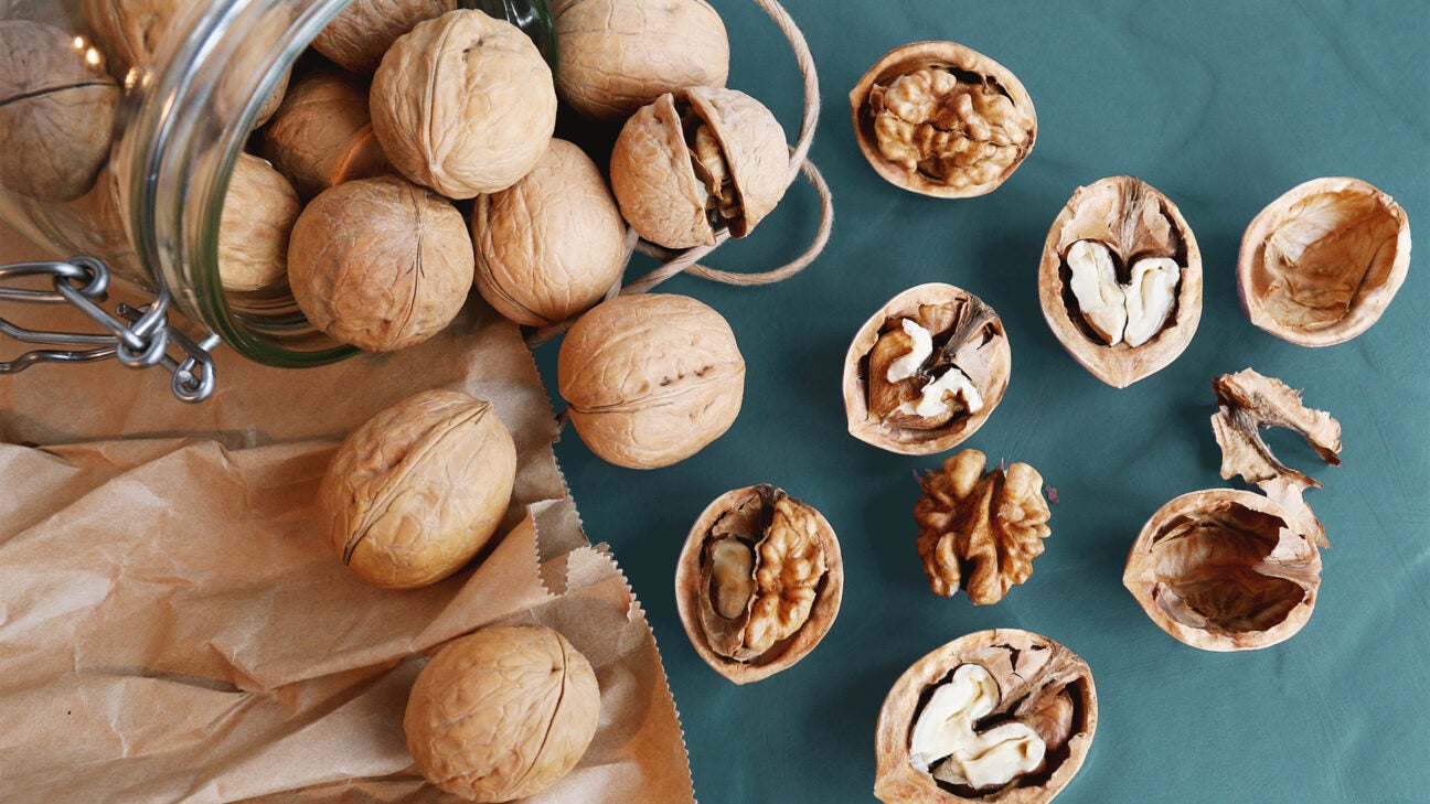 Heart Health Benefits of Walnuts Likely Come From the Gut