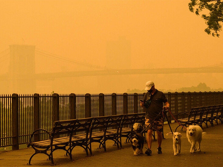 Can You Exercise Outside in Wildfire Smoke? How to Tell if the Air is Safe