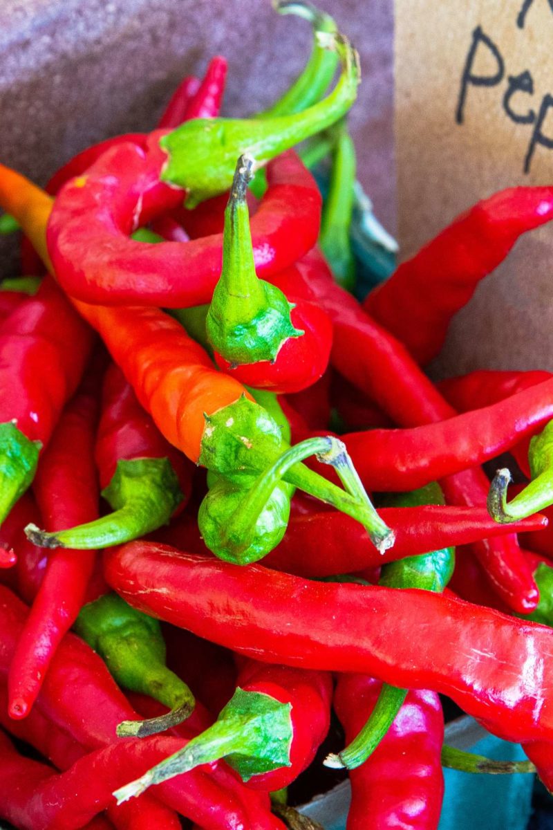 Sweet Cayenne pepper  40 fresh organic seeds for the 2019 season
