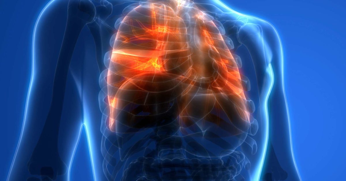 Lung function: What do the lungs do?