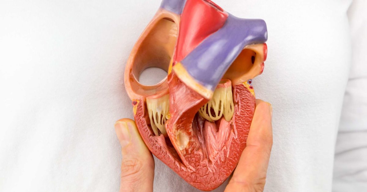 Dextrocardia: Causes, symptoms, and treatment