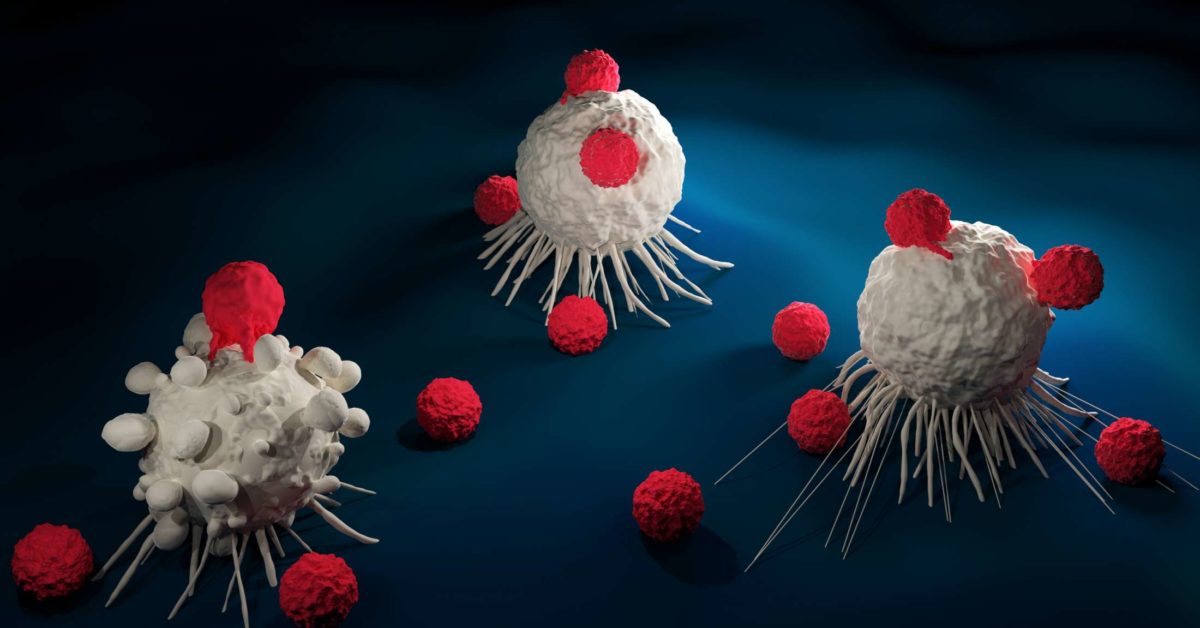 How immune cells can be controlled to kill cancer