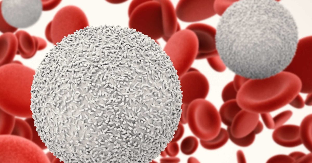 Lymphocytes: Levels, ranges, and functions