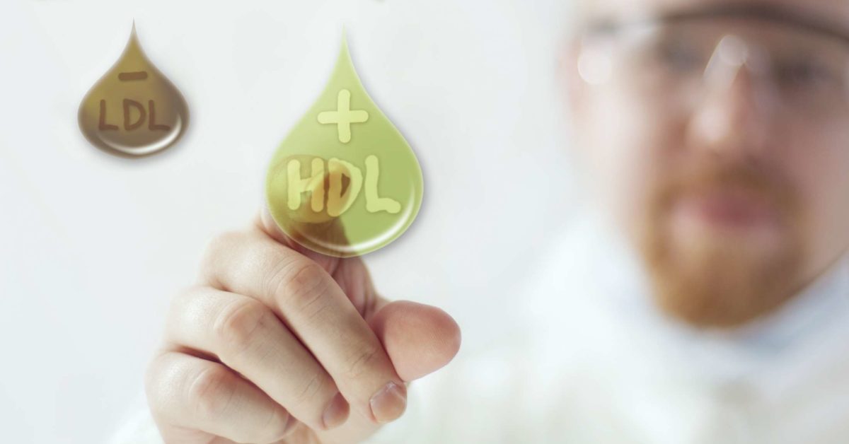 HDL vs. LDL cholesterol Differences, ranges, and ratios