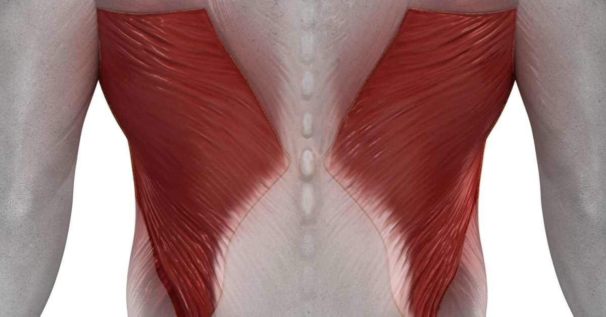 Latissimus dorsi pain Symptoms, causes, and exercises for