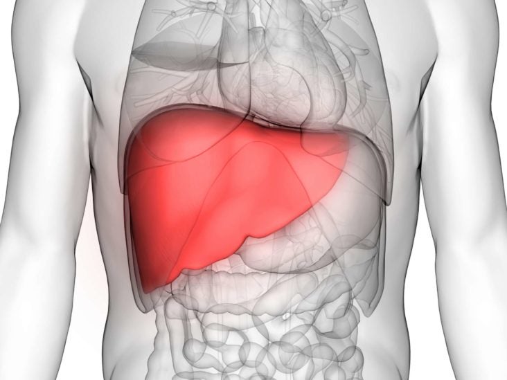 Liver Metastases Symptoms Diagnosis And Prognosis