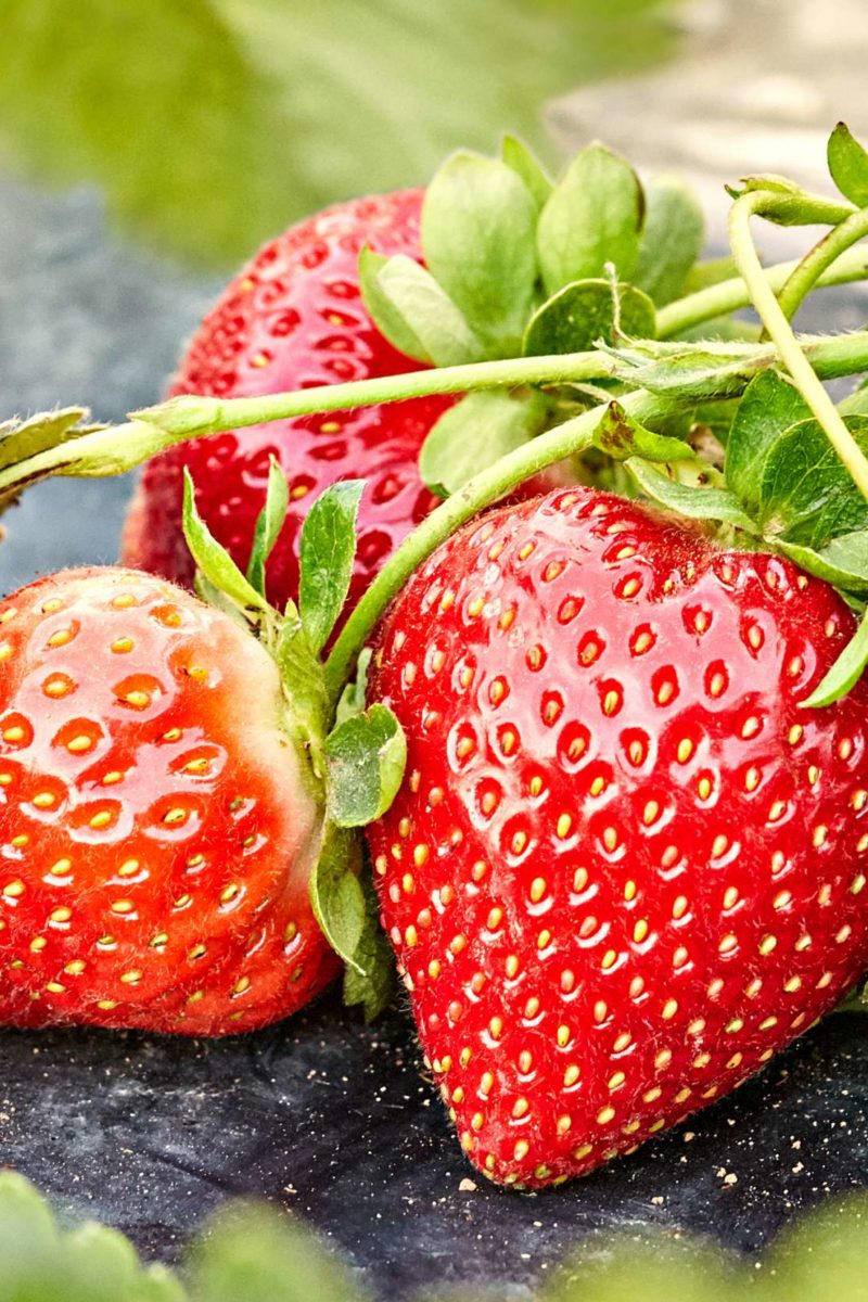 strawberry-allergy-symptoms-treatment-and-what-to-avoid