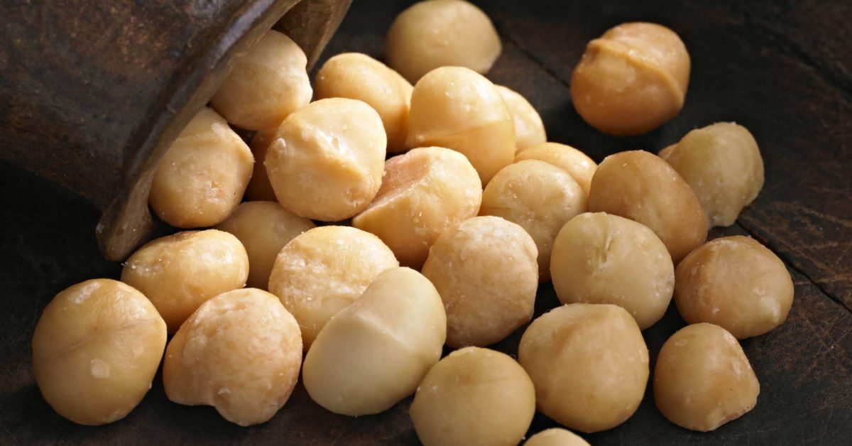 the-6-best-benefits-of-macadamia-nuts