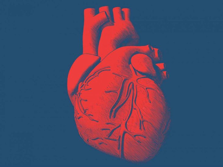 3D Printing A Human Heart  : Editorial Content, On Principle, Can Not Be Bought Or Influenced.