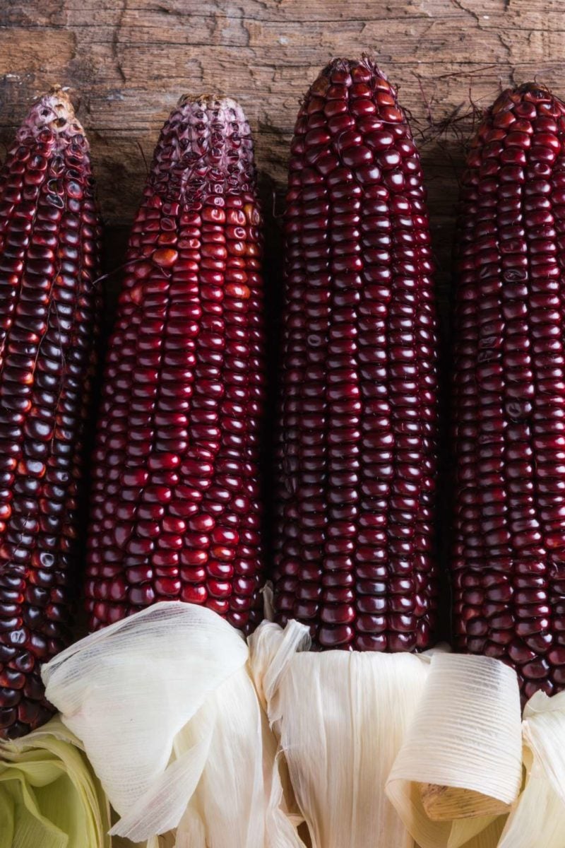 Can purple corn reduce inflammation, diabetes?