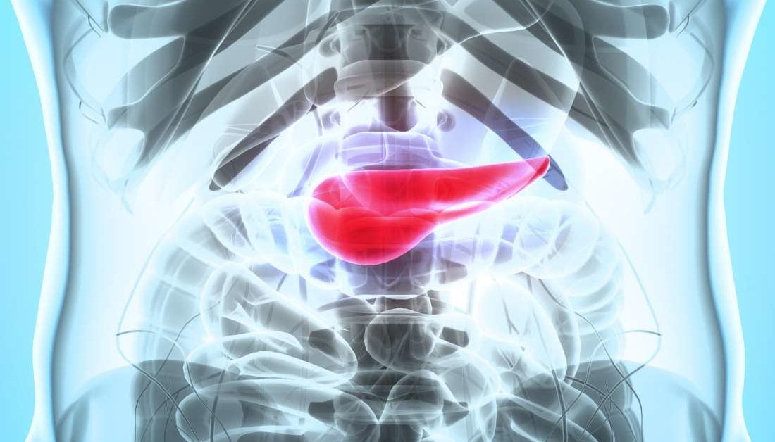 Diabetes and the pancreas: Insulin, complications, and function