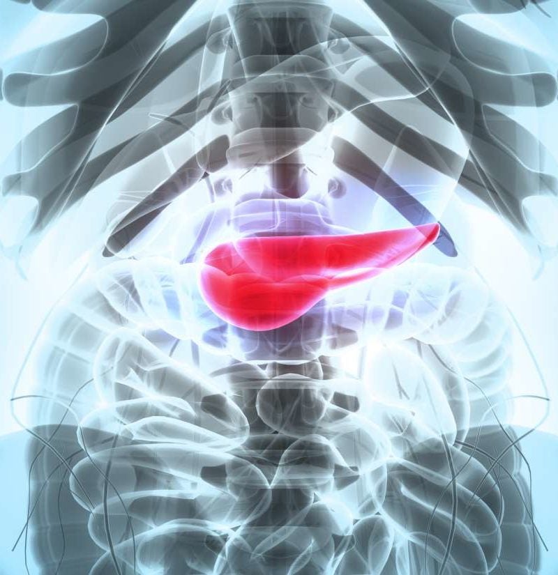 Diabetes and the pancreas: Insulin, complications, and function