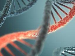 Large study finds 14 new genetic disorders in children