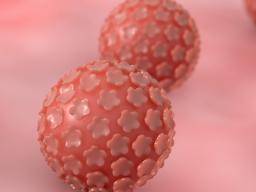 Human papillomaviruses agents Human papillomavirus (HPV) Arhivă de ilustraţii | k | Fotosearch
